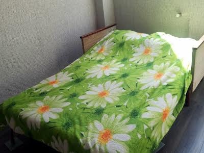 квартира по адресу Александровская ул., 3