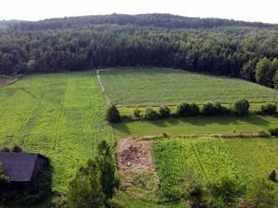 комерційна за адресою с. Брусенки, Центральна, 1