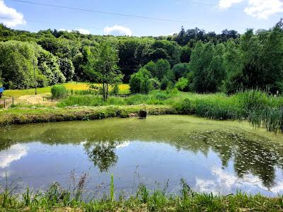 ділянка за адресою с. Бережани, Шашквича