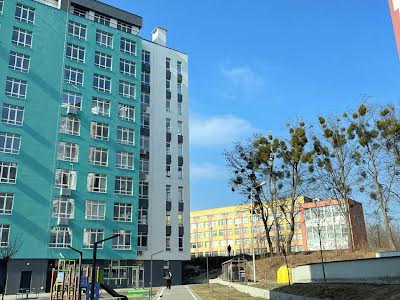 комерційна за адресою Під Голоском вул., 19г