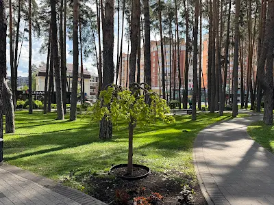 квартира за адресою Виговського вул. (Суворова), 2-Д/1