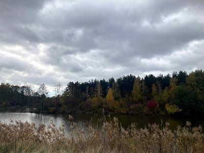 ділянка за адресою с. Петрушки, 