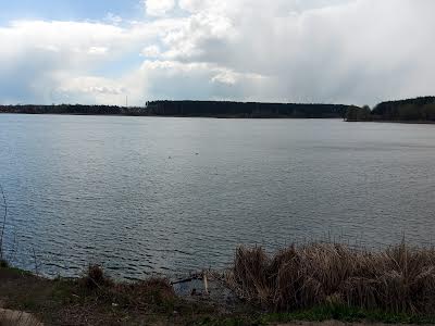 будинок за адресою Центральна, 37