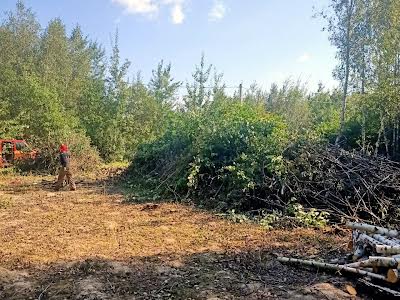 участок по адресу Михайла Зорія