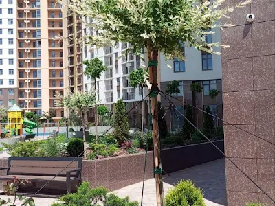квартира по адресу Краснова ул., 3а