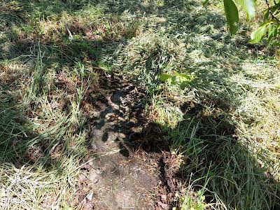 участок по адресу козацької слави