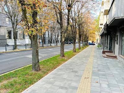 комерційна за адресою Володимира Вернадського вул. (Дзержинського), 19