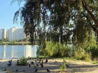квартира за адресою Драгоманова вул., 31-Б