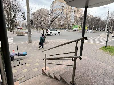 комерційна за адресою бульвар Шевченка, 335