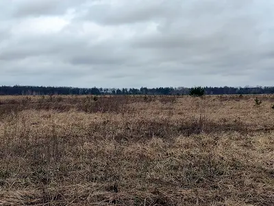 участок по адресу Кринична