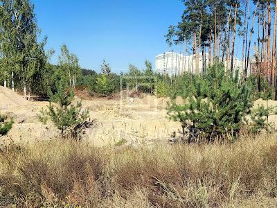ділянка за адресою незалежності