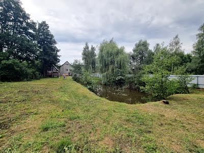 дом по адресу пгт. Дымер, центральна, 1