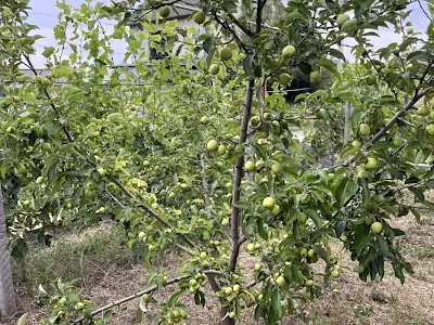 будинок за адресою с. Молодіжне, Винокурова