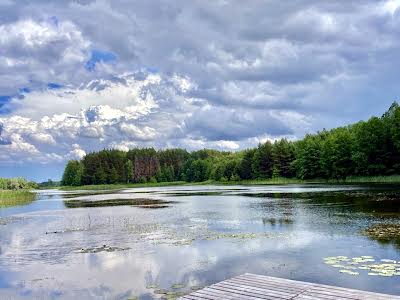 дом по адресу Зарічна, 15А