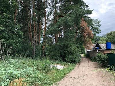 участок по адресу Куренной пер.