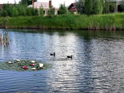 дом по адресу Вишневецкого Дмитра