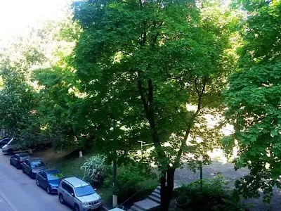 квартира за адресою Васильківська вул., 2а