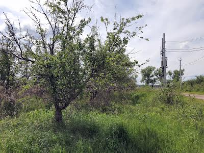 участок по адресу Богдана Хмельницького