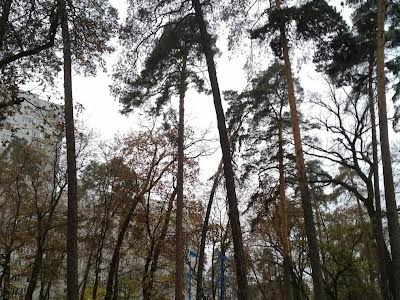 квартира за адресою Анатолія Петрицького вул., 17