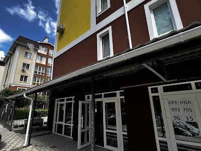 комерційна за адресою Василя Стуса вул. (Пушкінська), 62л