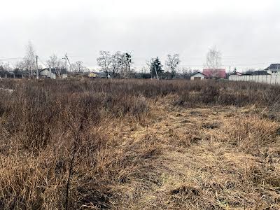 участок по адресу с. Процев, Центральна