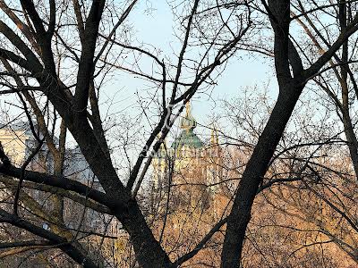 комерційна за адресою Велика Житомирська, 16