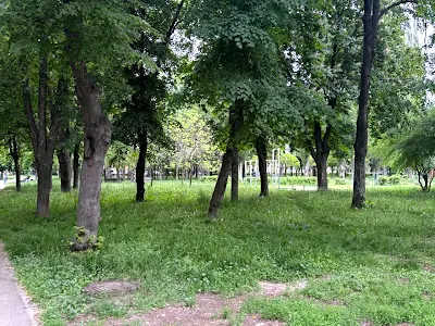 квартира за адресою Василя Доманицького вул. (Генерала Потапова), 10-А