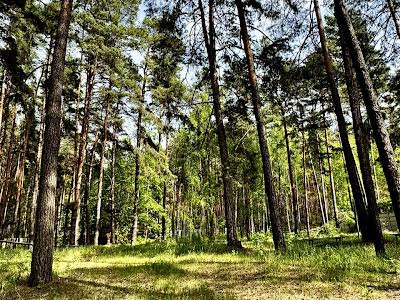 будинок за адресою Зарічна