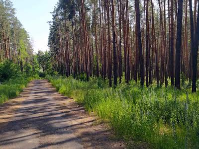 участок по адресу Лісова