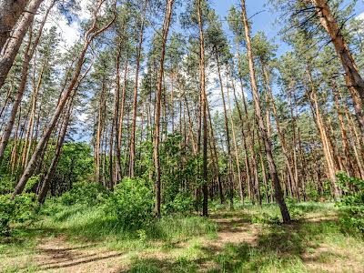 будинок за адресою Центральна, 1