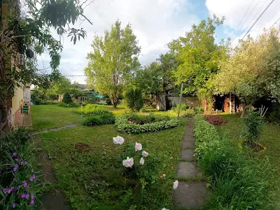 будинок за адресою Виноградна