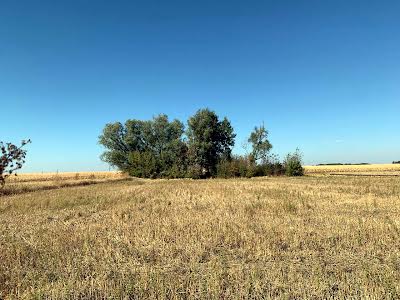 дом по адресу с. Александровка, Світанкова