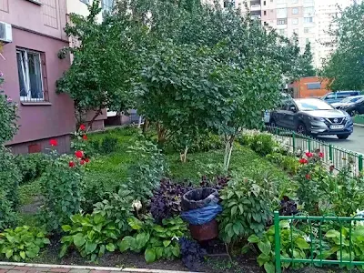 квартира за адресою Олени Пчілки вул., 4