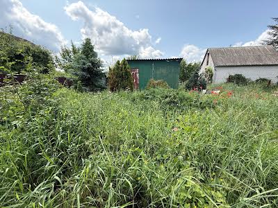 дом по адресу с. Старые Безрадичи, горохова, 1