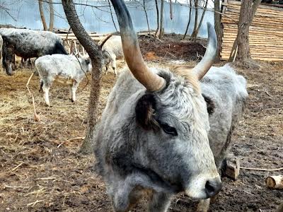 кімната за адресою Київ, Тупикова генерала вул., 31