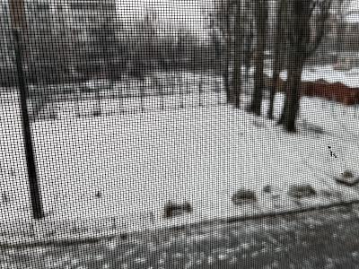 квартира за адресою Гната Юри вул., 1