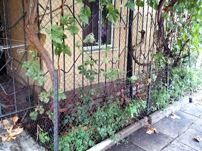 квартира за адресою Богдана Хмельницького вул., 31