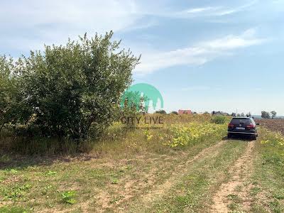 ділянка за адресою Скороводи