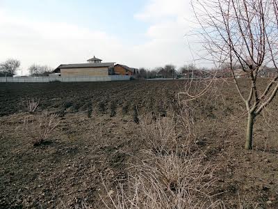 ділянка за адресою Підгородне, Кооперативна