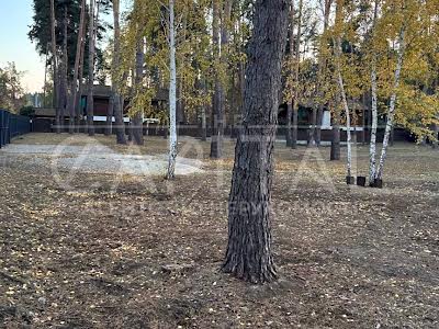 ділянка за адресою Сосновий Бір вул.