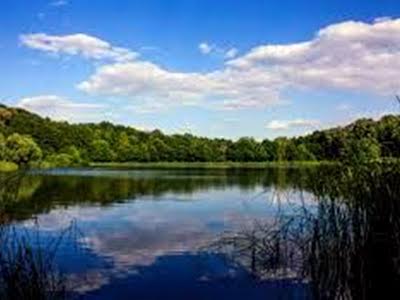 будинок за адресою Карпатської Січі вул. (Гвардійська), 36