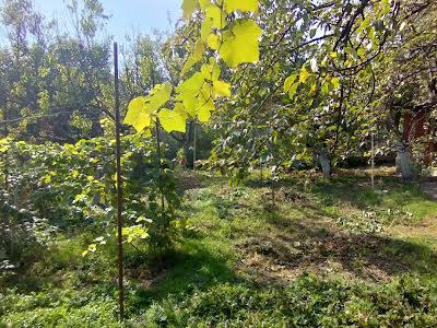 дом по адресу Грушевского Николая ул.