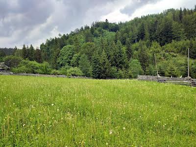 ділянка за адресою с. Кривопілля, коротеньке