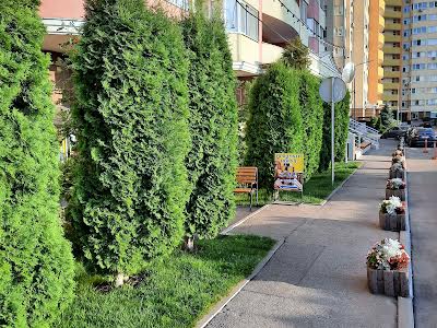 квартира за адресою Сім'ї Кульженків вул. (Петра Дегтяренка), 37