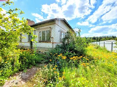 дом по адресу с. Великая Солтановка, Поліська, 28