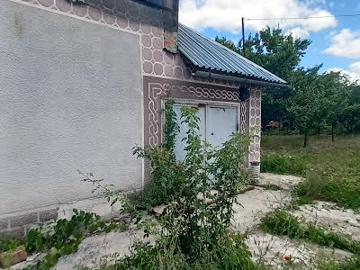 дом по адресу медова