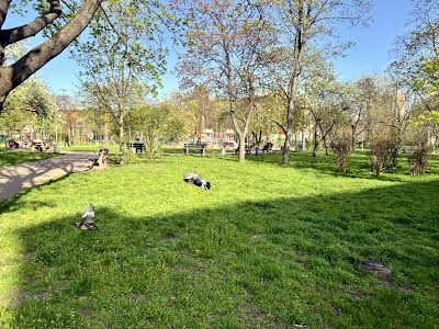 квартира за адресою Тампере вул., 8б