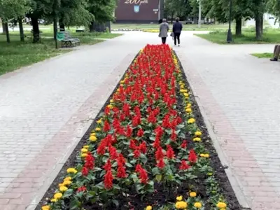 квартира по адресу Садовый проезд, 24а