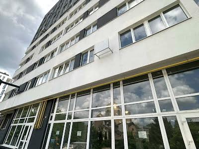 комерційна за адресою Володимира Великого вул., 10
