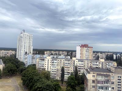 квартира за адресою Мілютенка вул., 28-В